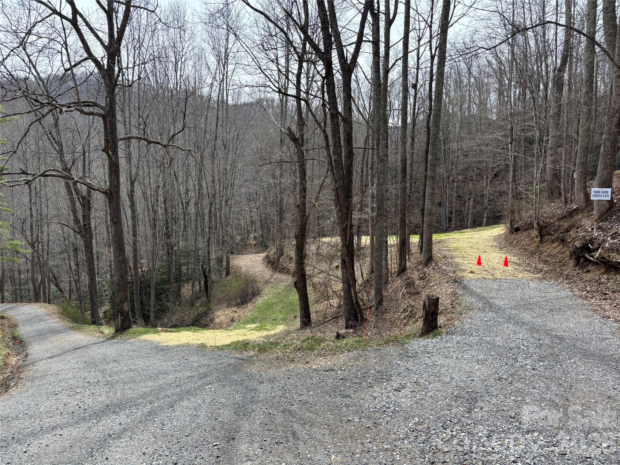 South Lot) Meadow Fork Road Hot Springs, NC 28743 - Photo 9 of 22