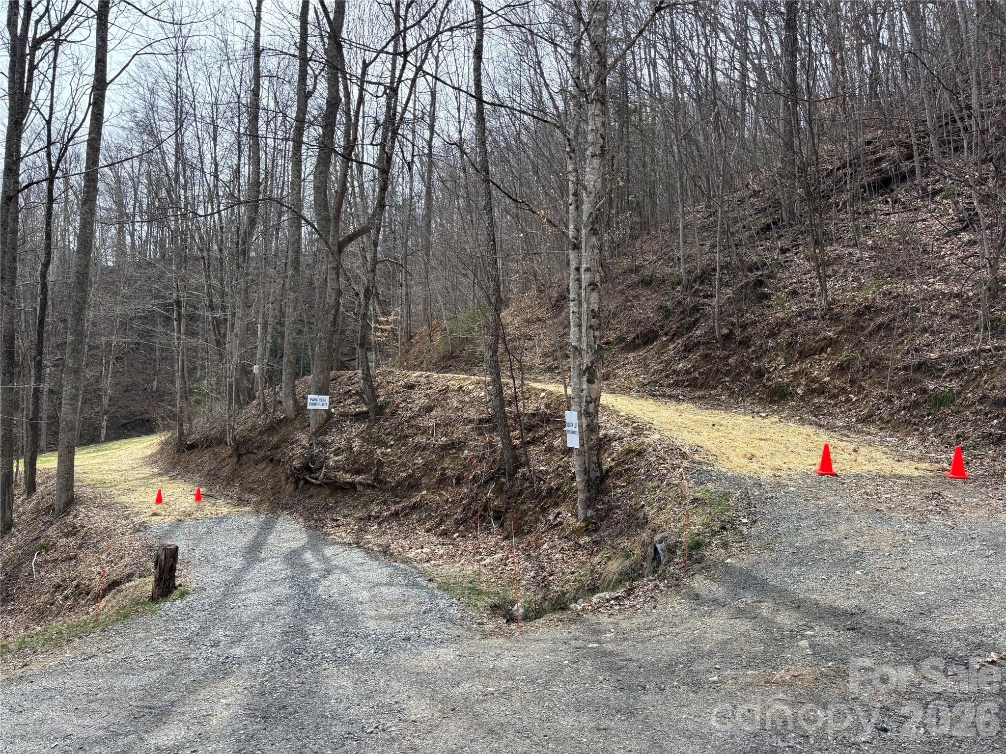 South Lot) Meadow Fork Road Hot Springs, NC 28743 - Photo 10 of 22