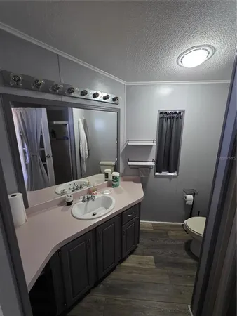 a bathroom with a sink a toilet and mirror