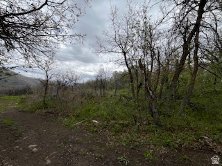 144 West Bear Tooth Ridge Coalville, UT 84017 - Photo 15 of 19 Dirt path traversing a natural landscape with varied foliage