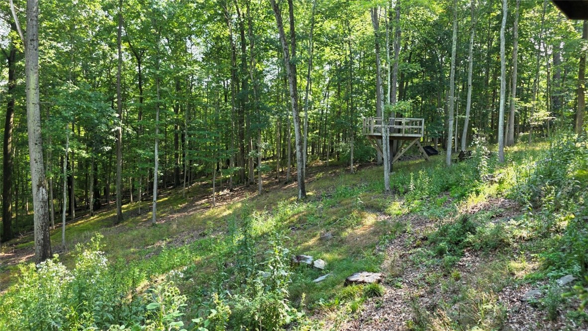 11 Overbrook Road Erwin, NY 14870 - Photo 48 of 50 back yard view