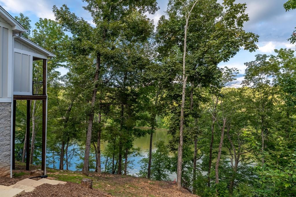 300 Chandler Road Doyle, TN 38559 - Photo 60 of 81