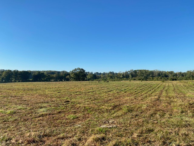 0 Norris Road Anderson, SC 29626 - Photo 1 of 13