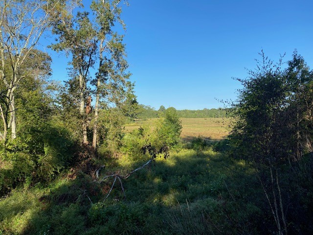 0 Norris Road Anderson, SC 29626 - Photo 11 of 13