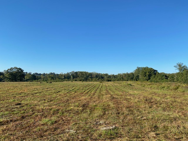 0 Norris Road Anderson, SC 29626 - Photo 3 of 13