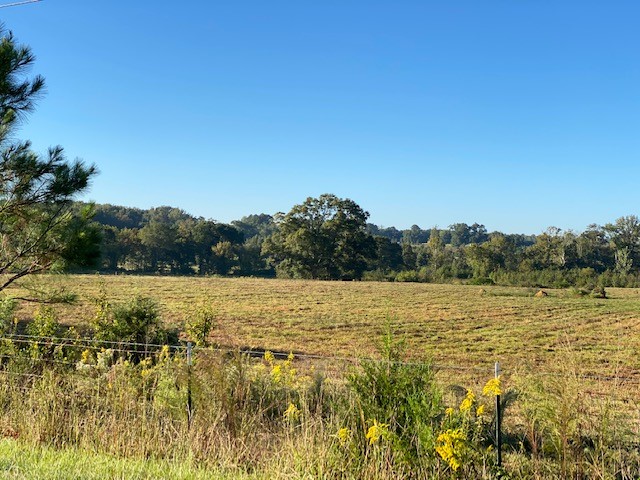 0 Norris Road Anderson, SC 29626 - Photo 4 of 13