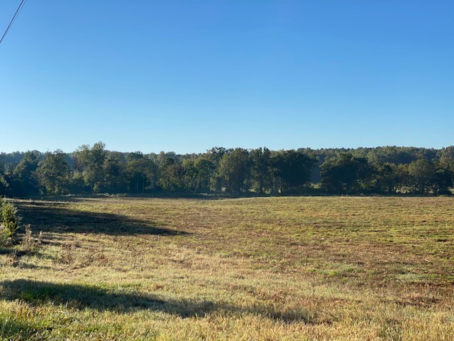 0 Norris Road Anderson, SC 29626 - Photo 5 of 13