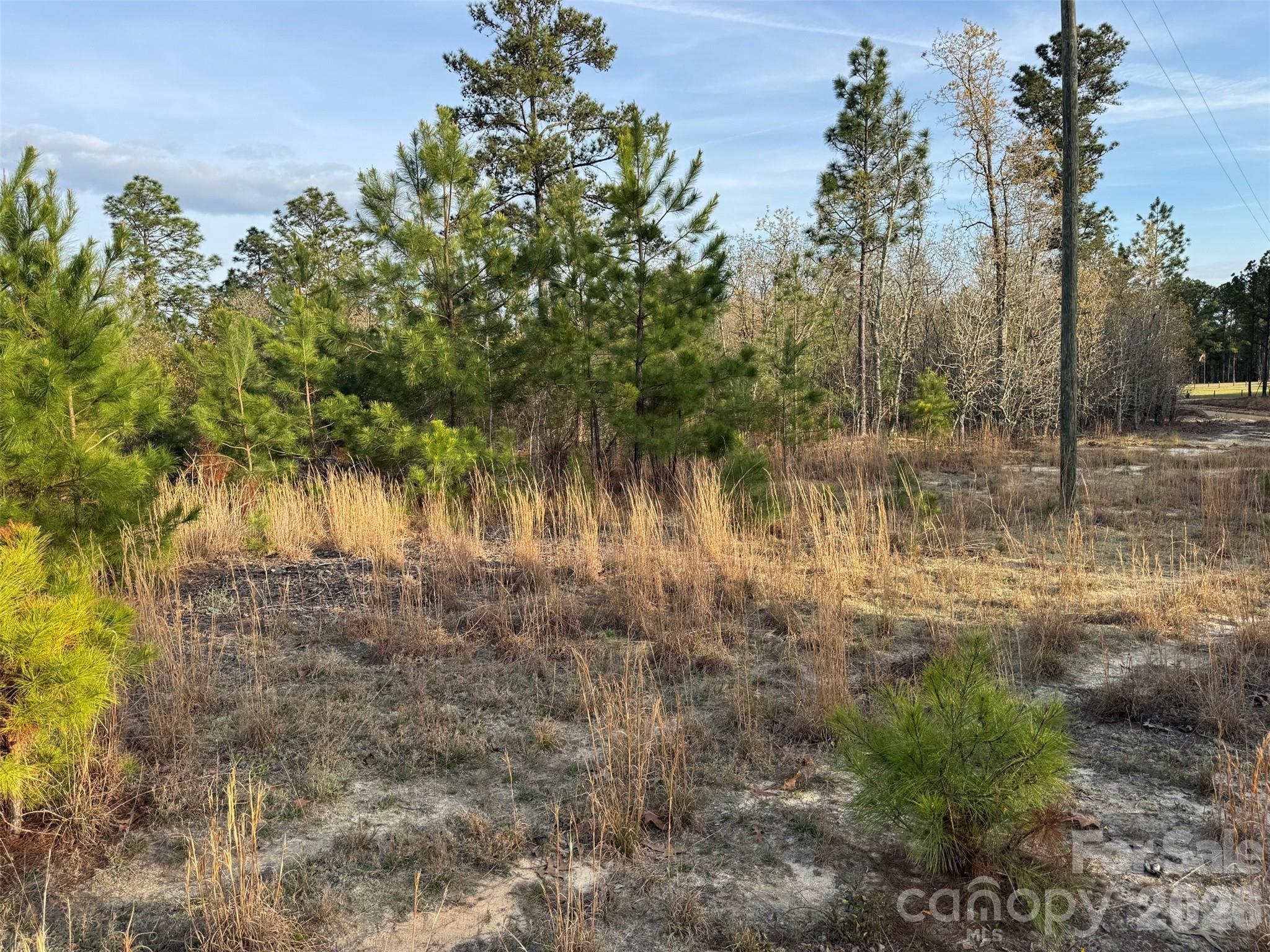 0 McQueen Road Patrick, SC 29584 - Photo 19 of 25