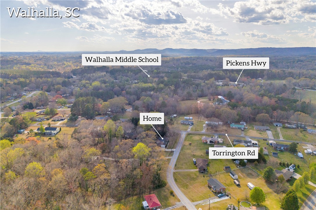 98 Mountain View Drive Walhalla, SC 29691 - Photo 47 of 50