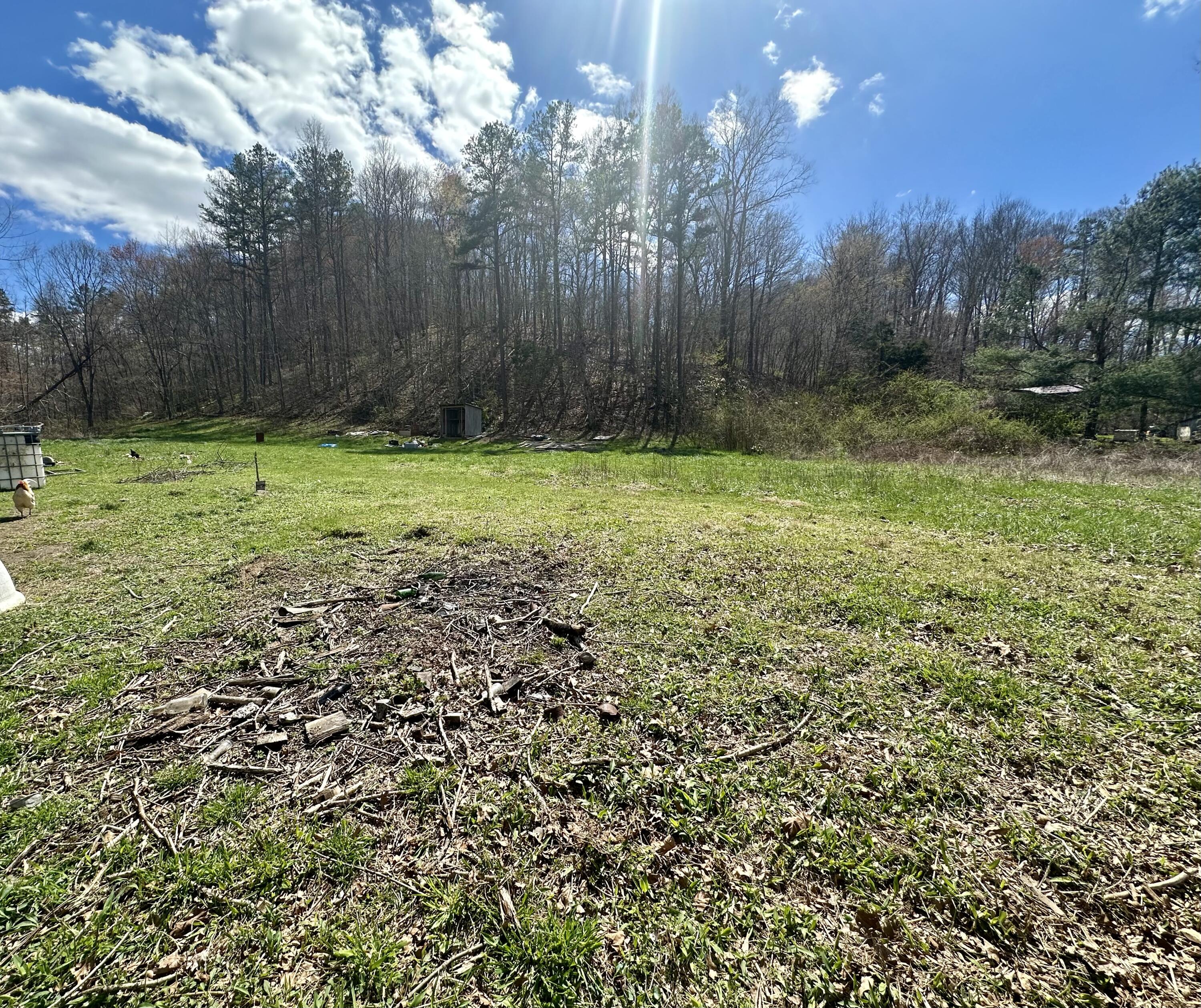Tract #1 Tract Ridge Annville, KY 40402 - Photo 6 of 16 IMG_0907