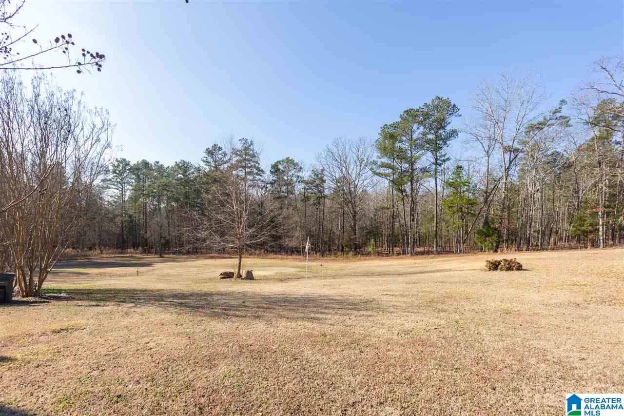 355 Foster West Road Jacksonville, AL 36265 - Photo 45 of 48