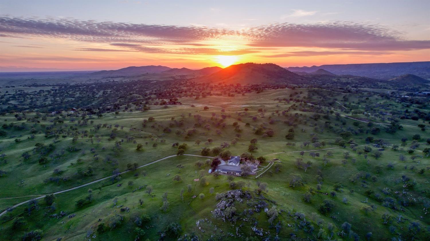 a view of a lush green hillside and a houses