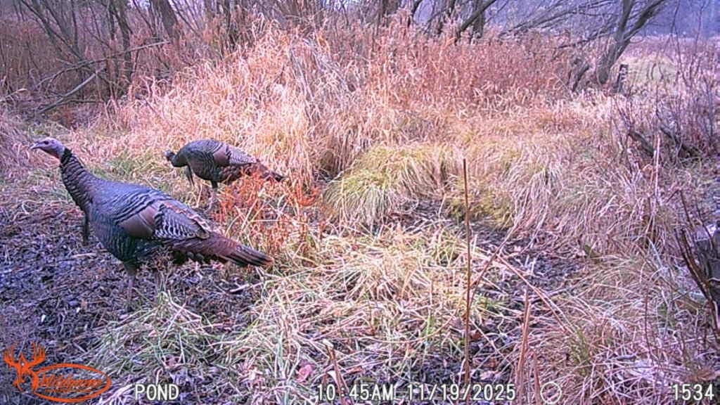 N7265 County Rd BB Spring Valley, WI 54767 - Photo 38 of 41