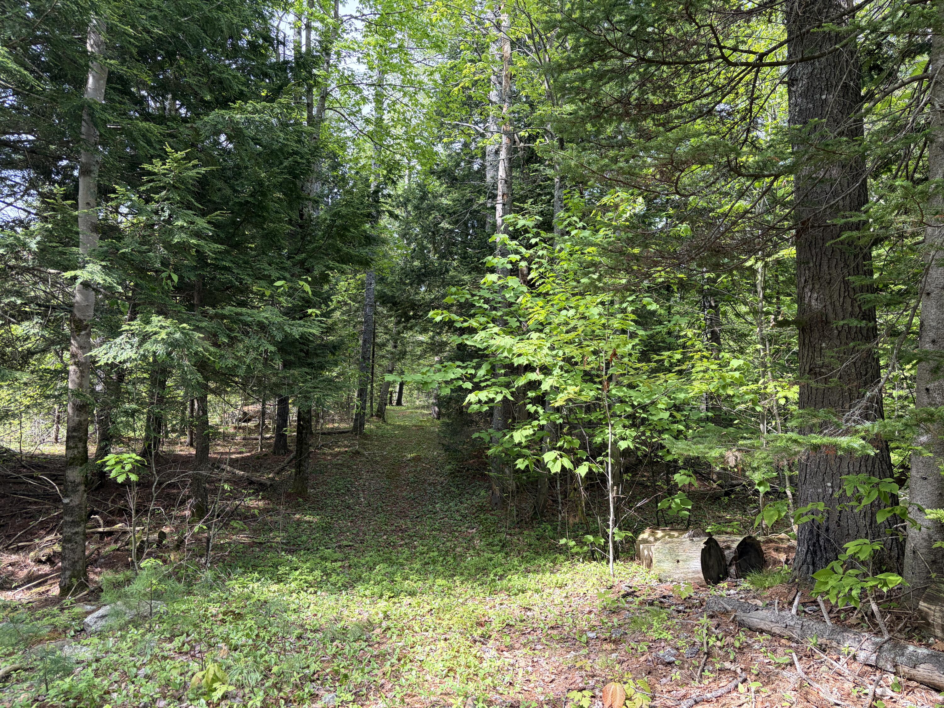 Lot 1 Waldoboro Road Washington, ME 04574 - Photo 11 of 39