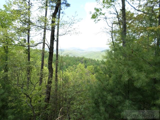 48 Ridge Road Ferguson, NC 28624 - Photo 1 of 2 Gallery Image 1