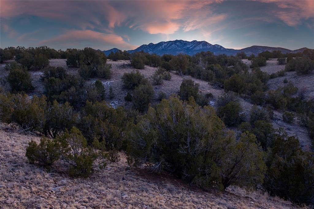 7 C Rancho De Shama, Unit A AND B Cerrillos, NM 87010 - Photo 2 of 35
