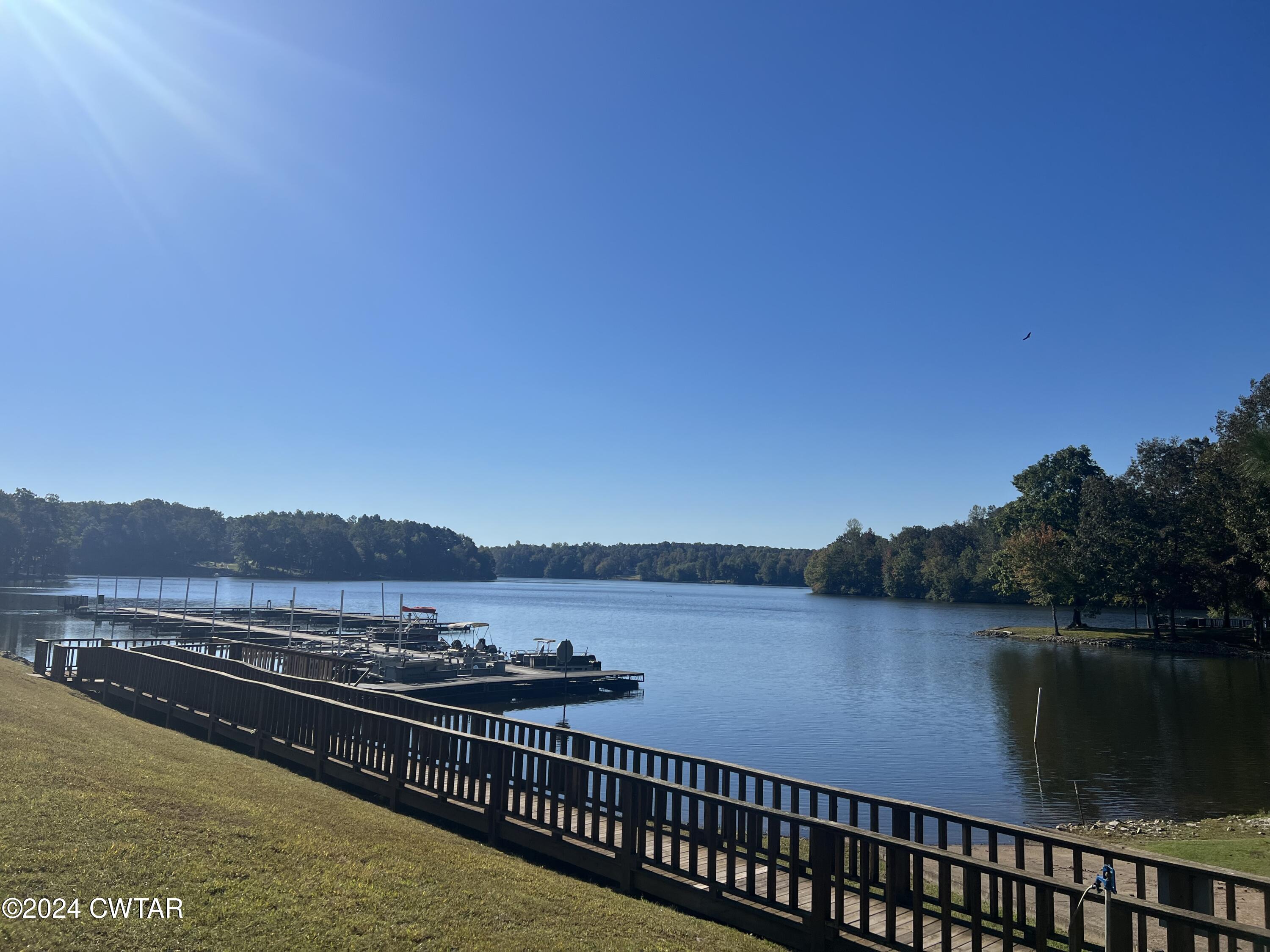 908 Excalibur Trail Cedar Grove, TN 38321 - Photo 12 of 12 a view of a lake with a mountain in the background