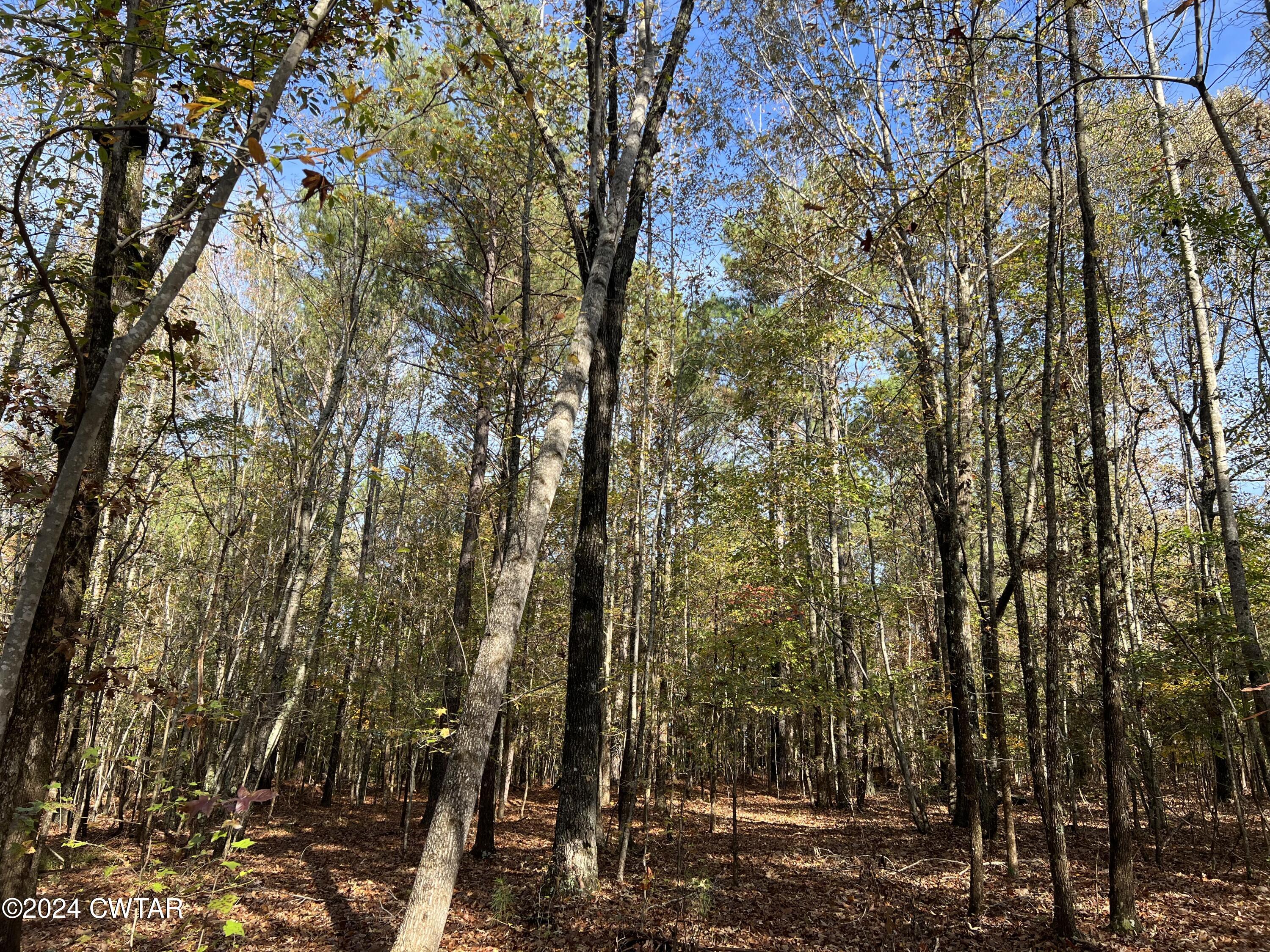 908 Excalibur Trail Cedar Grove, TN 38321 - Photo 8 of 12