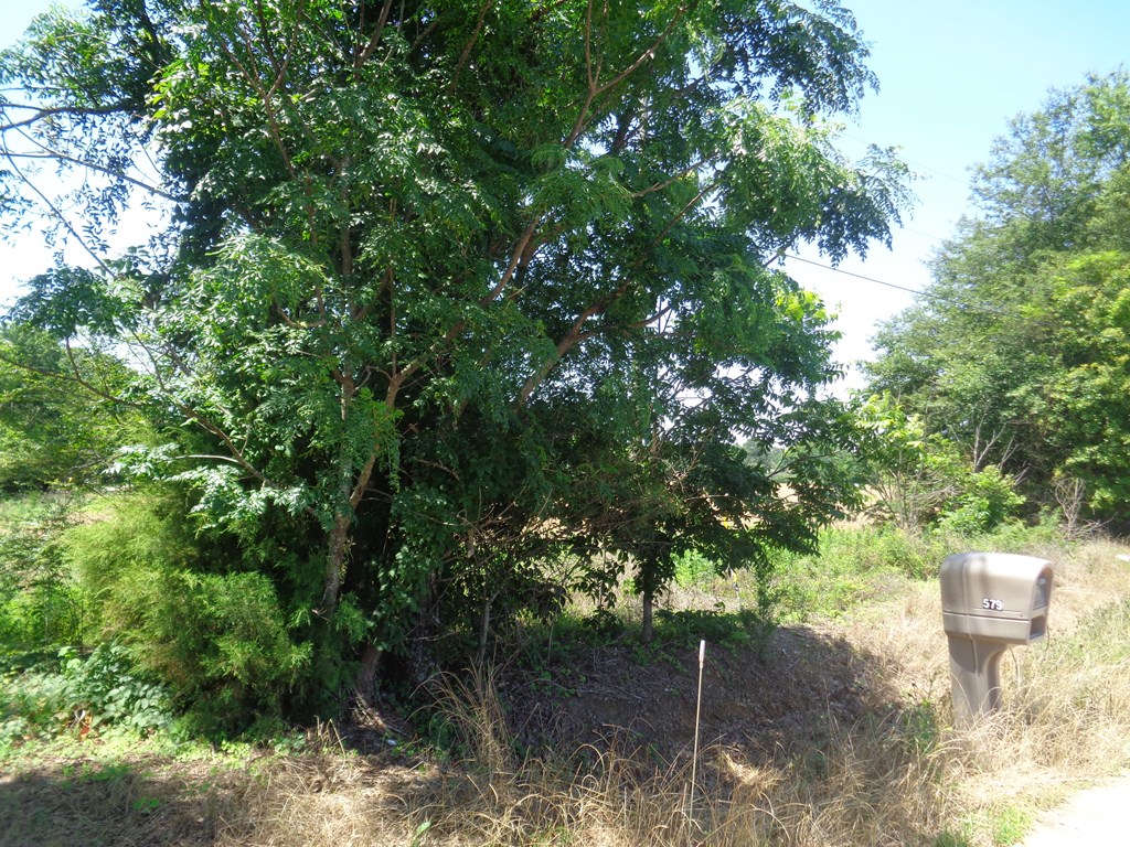 5.7-ac Littlefield Road Dothan, AL 36301 - Photo 6 of 14