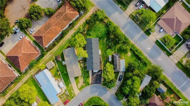 a view of a yard with plants and large trees