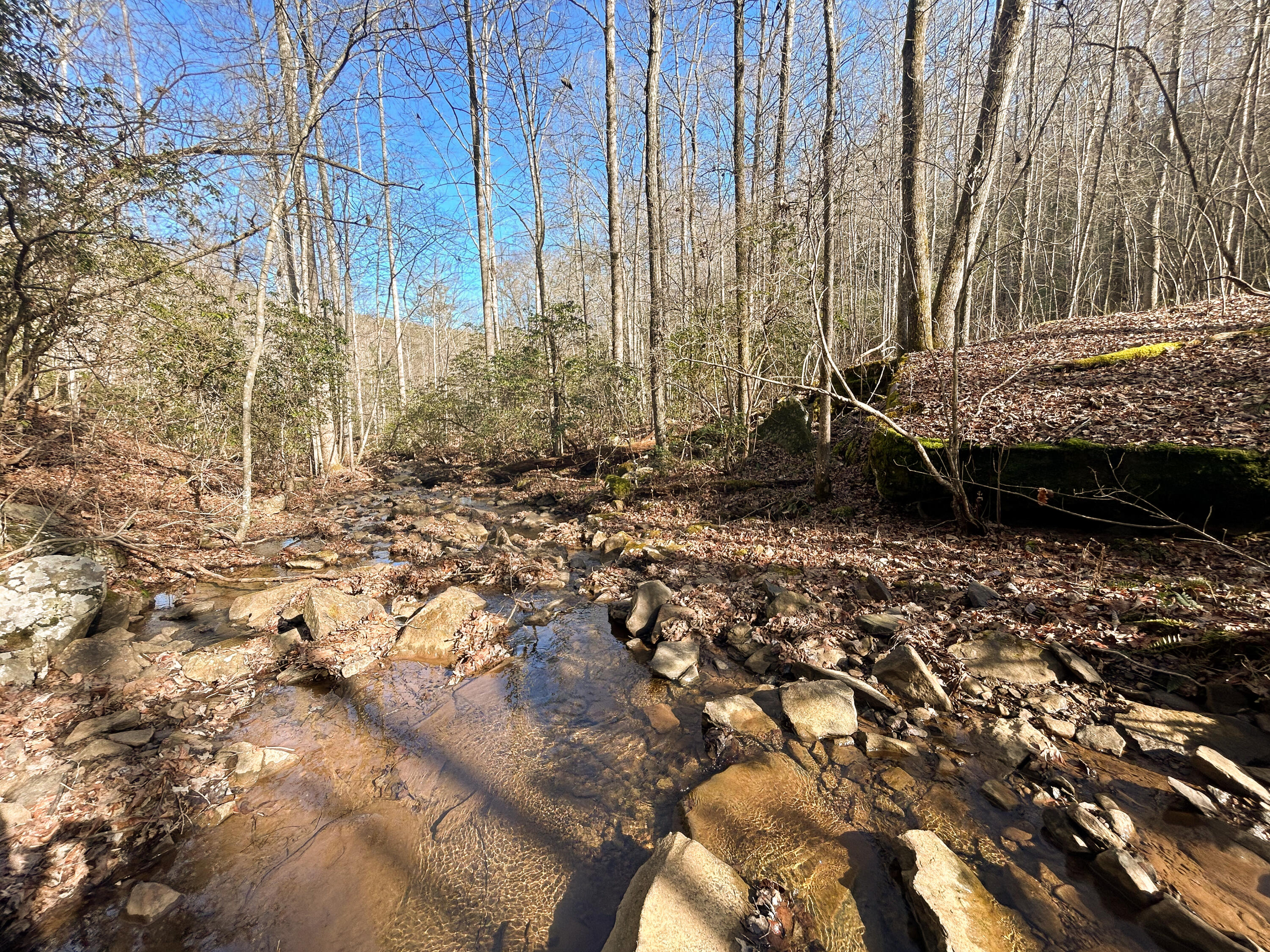 0 Deerhead Road, Unit 5 Dunlap, TN 37327 - Photo 26 of 28 IMG_9682