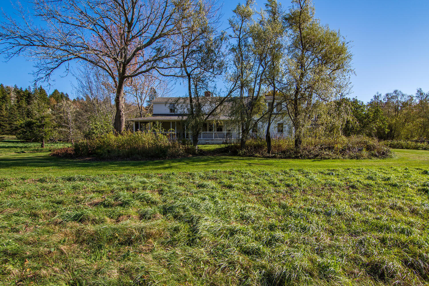 380 Harborside Road Harborside, ME 04642 - Photo 11 of 37 380 Harborside Road Harborside-large-030