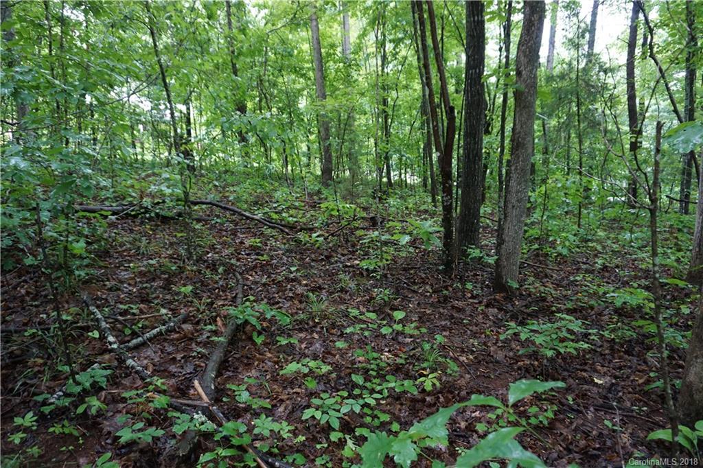 Lot # Bent Tree Drive, Unit 31 Rutherfordton, NC 28139 - Photo 2 of 15