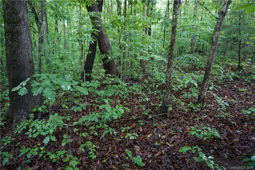 Lot # Bent Tree Drive, Unit 31 Rutherfordton, NC 28139 - Photo 11 of 15