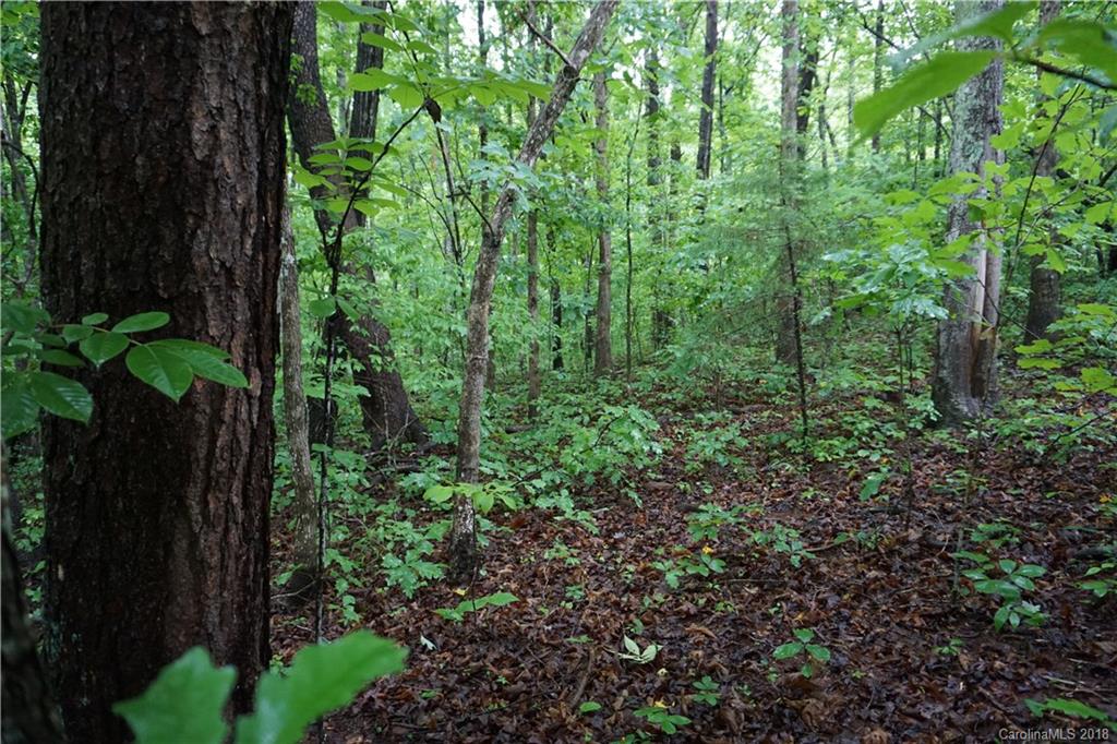 Lot # Bent Tree Drive, Unit 31 Rutherfordton, NC 28139 - Photo 12 of 15