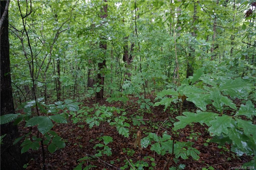 Lot # Bent Tree Drive, Unit 31 Rutherfordton, NC 28139 - Photo 13 of 15