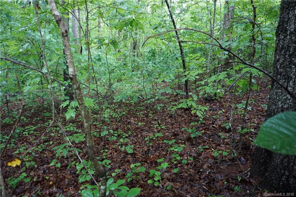 Lot # Bent Tree Drive, Unit 31 Rutherfordton, NC 28139 - Photo 14 of 15