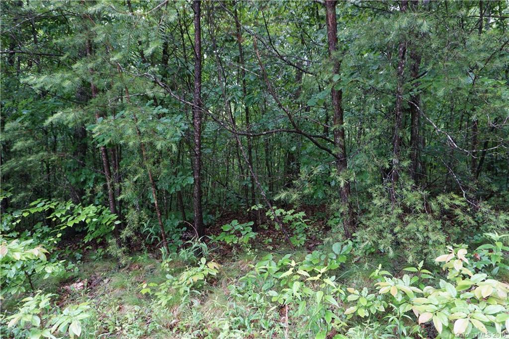 Lot # Bent Tree Drive, Unit 31 Rutherfordton, NC 28139 - Photo 15 of 15