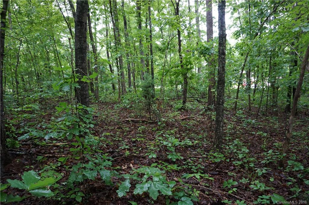 Lot # Bent Tree Drive, Unit 31 Rutherfordton, NC 28139 - Photo 3 of 15