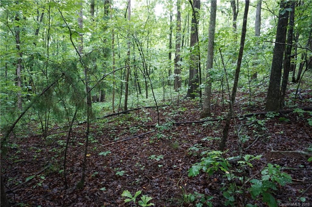 Lot # Bent Tree Drive, Unit 31 Rutherfordton, NC 28139 - Photo 4 of 15