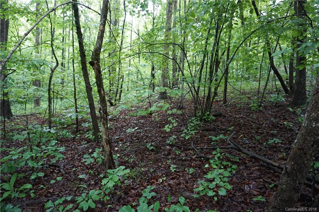 Lot # Bent Tree Drive, Unit 31 Rutherfordton, NC 28139 - Photo 5 of 15