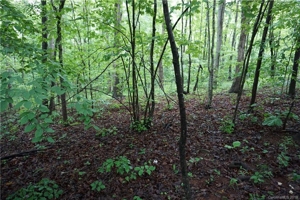 Lot # Bent Tree Drive, Unit 31 Rutherfordton, NC 28139 - Photo 6 of 15