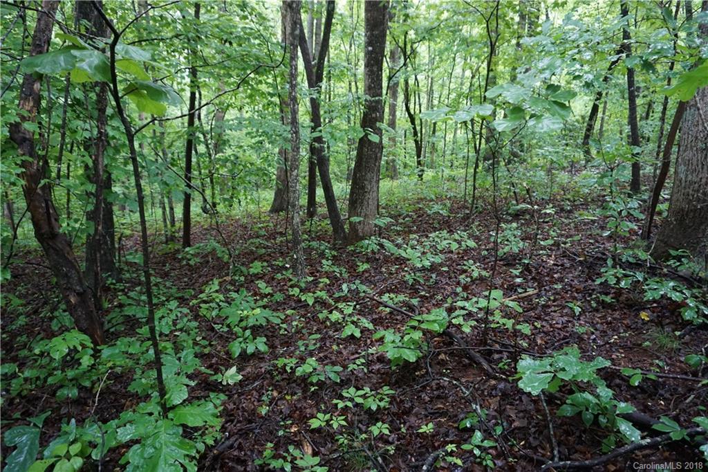 Lot # Bent Tree Drive, Unit 31 Rutherfordton, NC 28139 - Photo 7 of 15