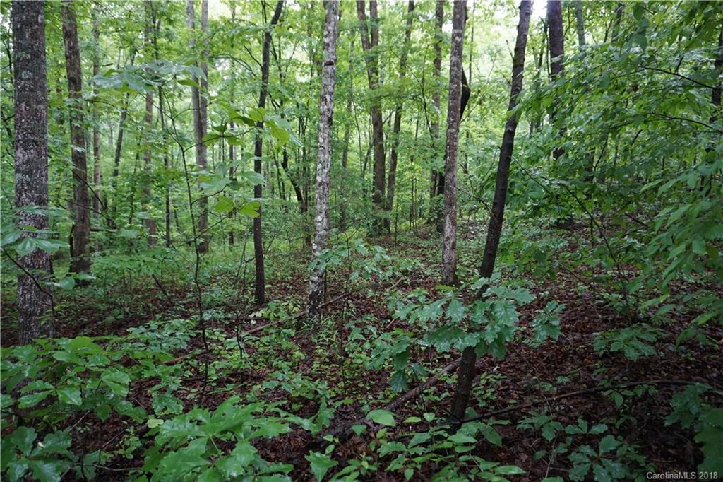 Lot # Bent Tree Drive, Unit 31 Rutherfordton, NC 28139 - Photo 8 of 15