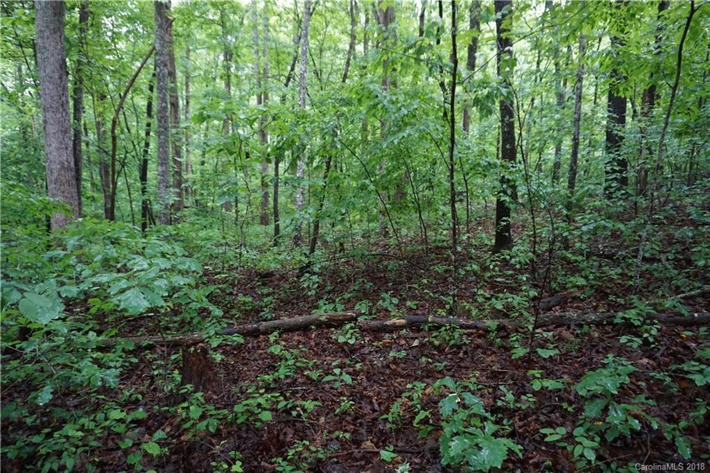 Lot # Bent Tree Drive, Unit 31 Rutherfordton, NC 28139 - Photo 9 of 15