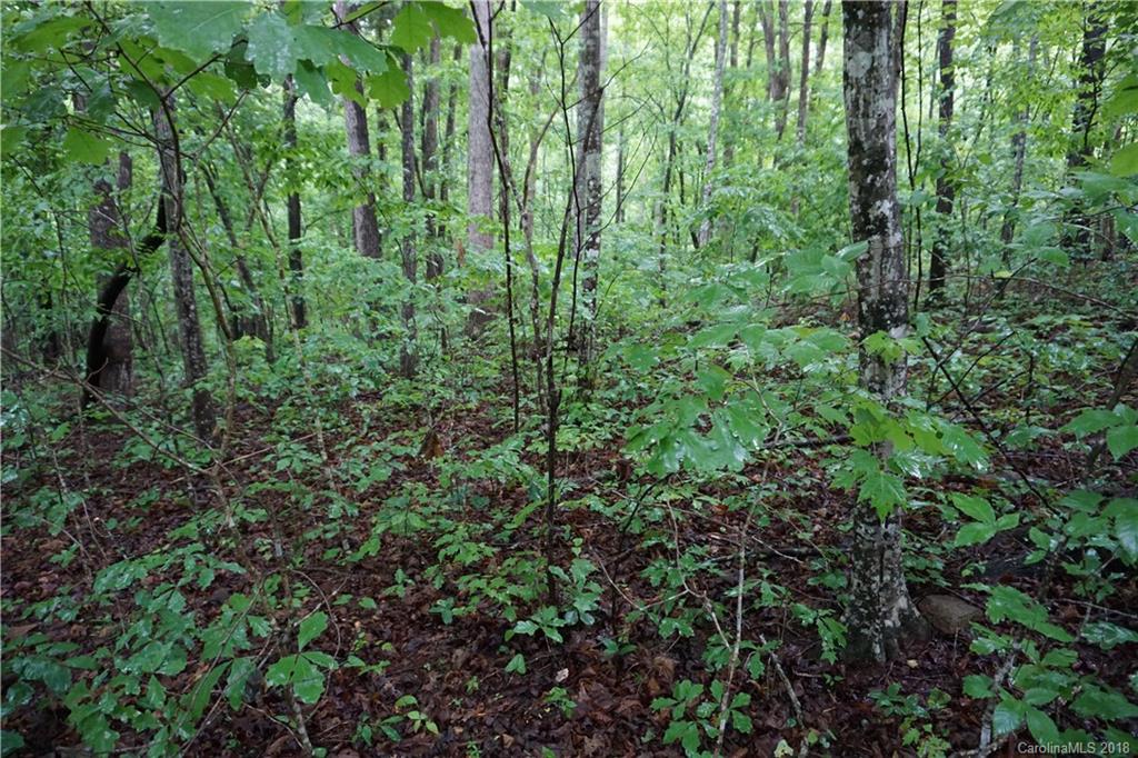 Lot # Bent Tree Drive, Unit 31 Rutherfordton, NC 28139 - Photo 10 of 15