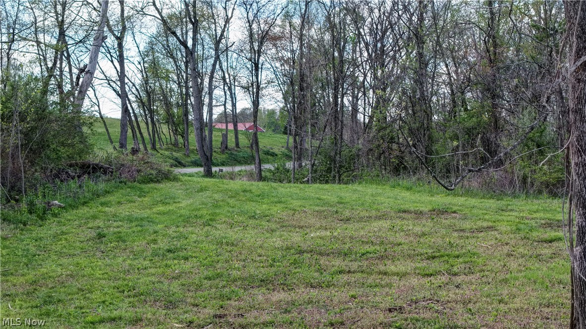Deersville Ridge Road Cadiz, OH 43907 - Photo 14 of 41