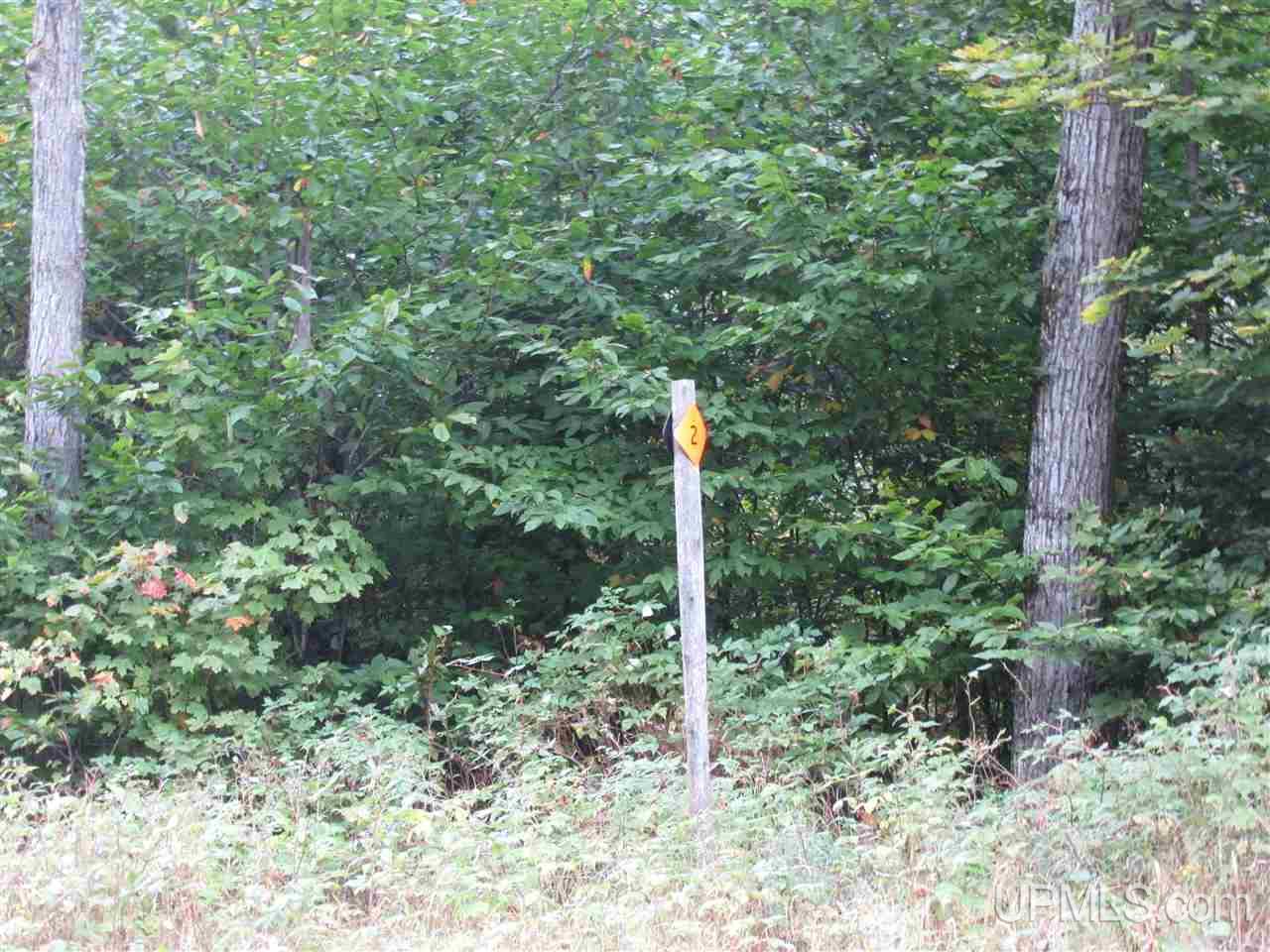 6736 North Co Road Manistique, MI 49854 - Photo 14 of 27