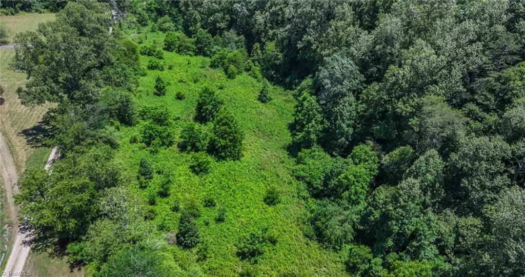 0 North Goforth Road Ferguson, NC 28624 - Photo 11 of 16