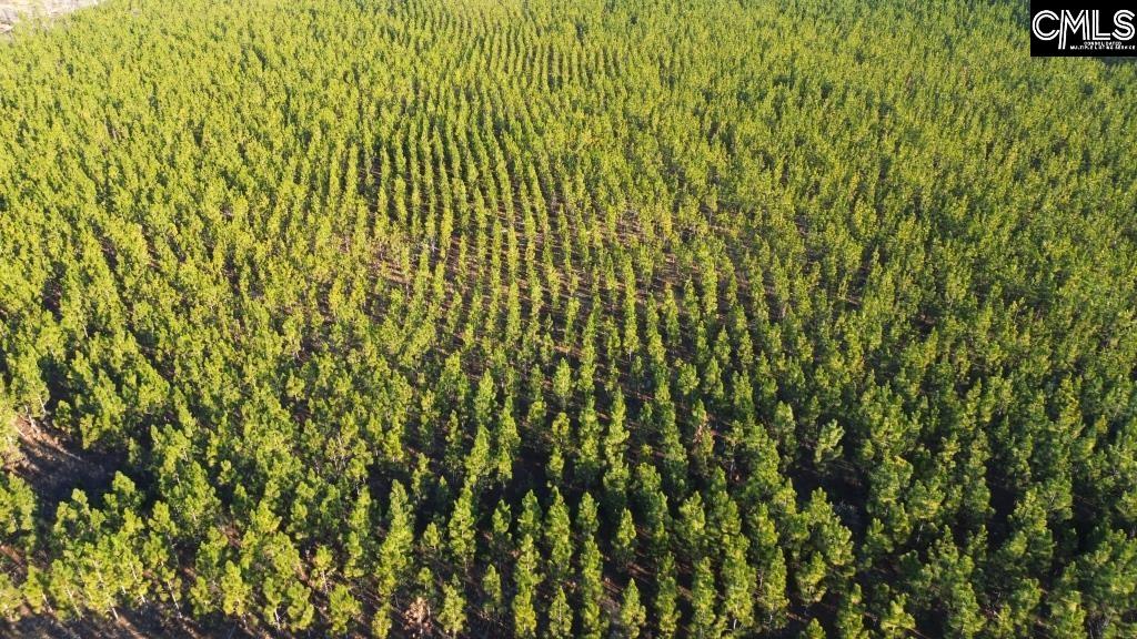 Holstein Road Wagener, SC 29164 - Photo 26 of 26