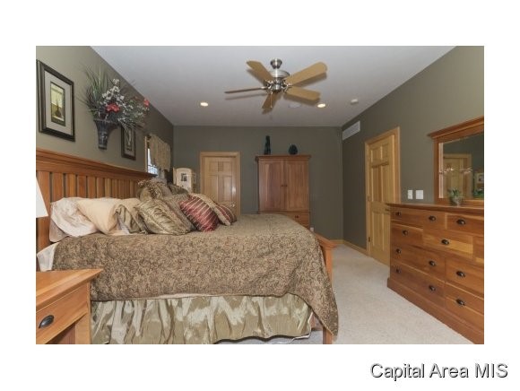 12 Maplehurst Drive Rochester, IL 62563 - Photo 10 of 14