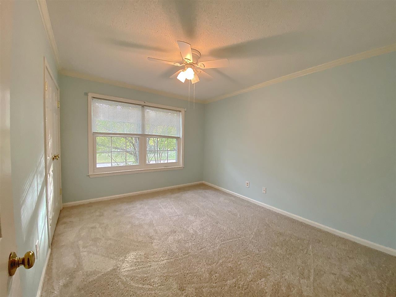 1794 Kimbrough Road Germantown, TN 38138 - Photo 10 of 25 A room with a view of tree lined Kimbrough Dr