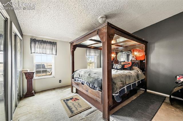 3010 Old Windmill View Yoder, CO 80864 - Photo 11 of 19 Carpeted bedroom with a textured ceiling and multiple windows