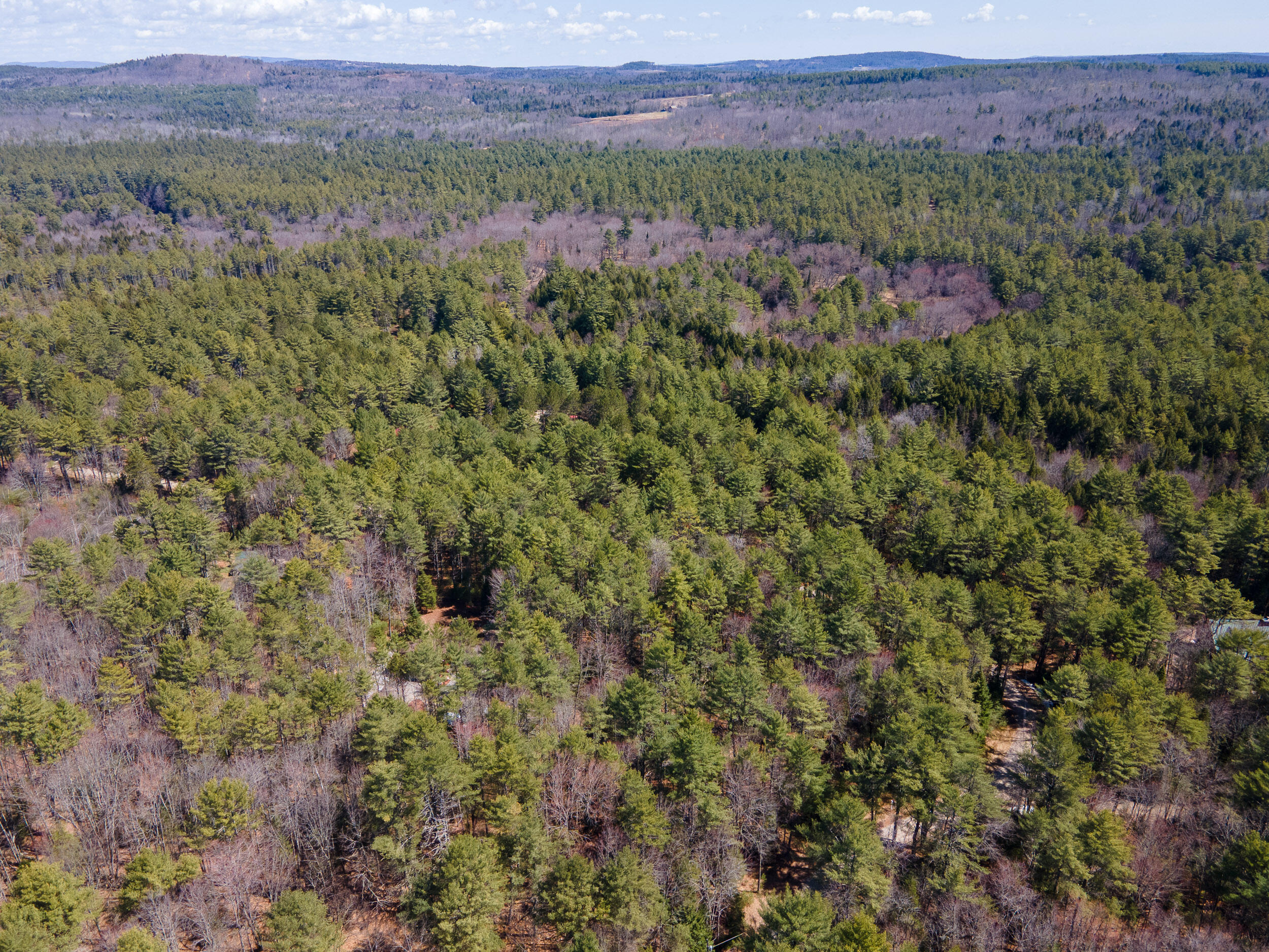 Lot 3 Big Woods Road Harrison, ME 04040 - Photo 16 of 26 Lot 3 Big Woods Rd_Harrison_14