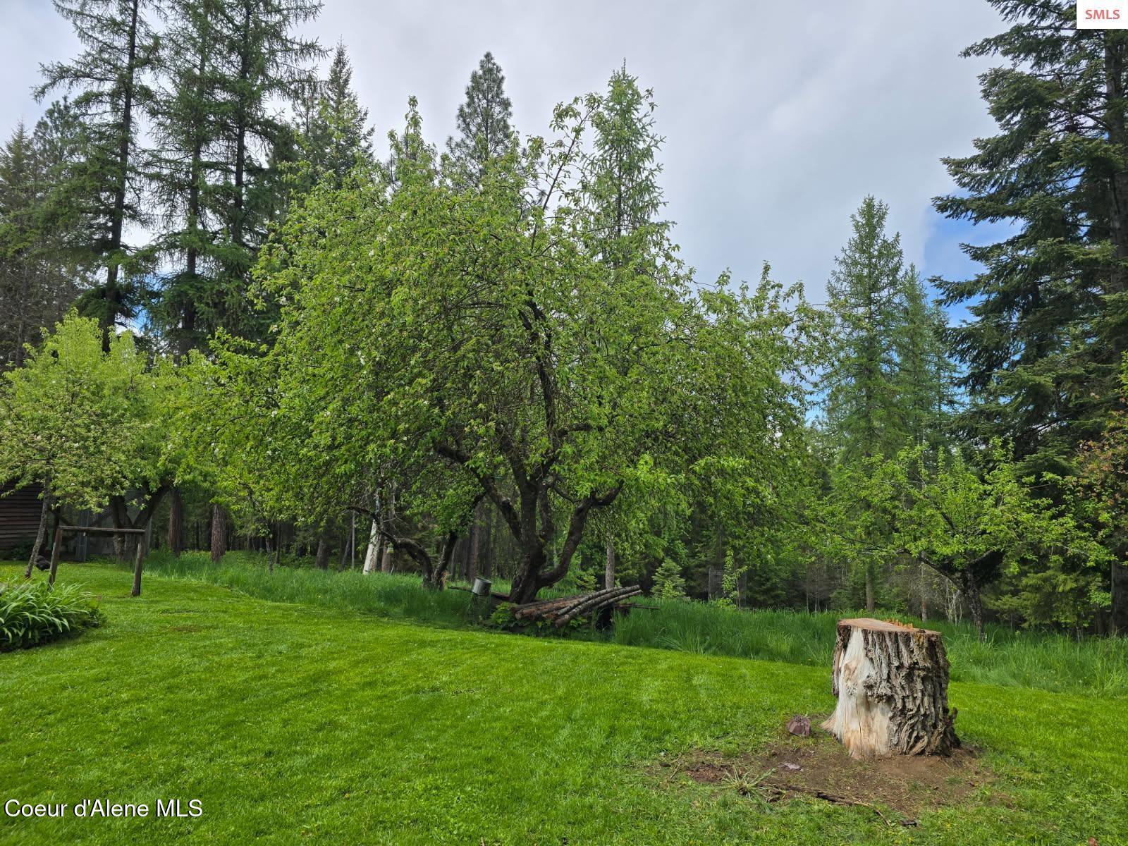 327 Winter Road Moyie Springs, ID 83845 - Photo 7 of 26 winter7