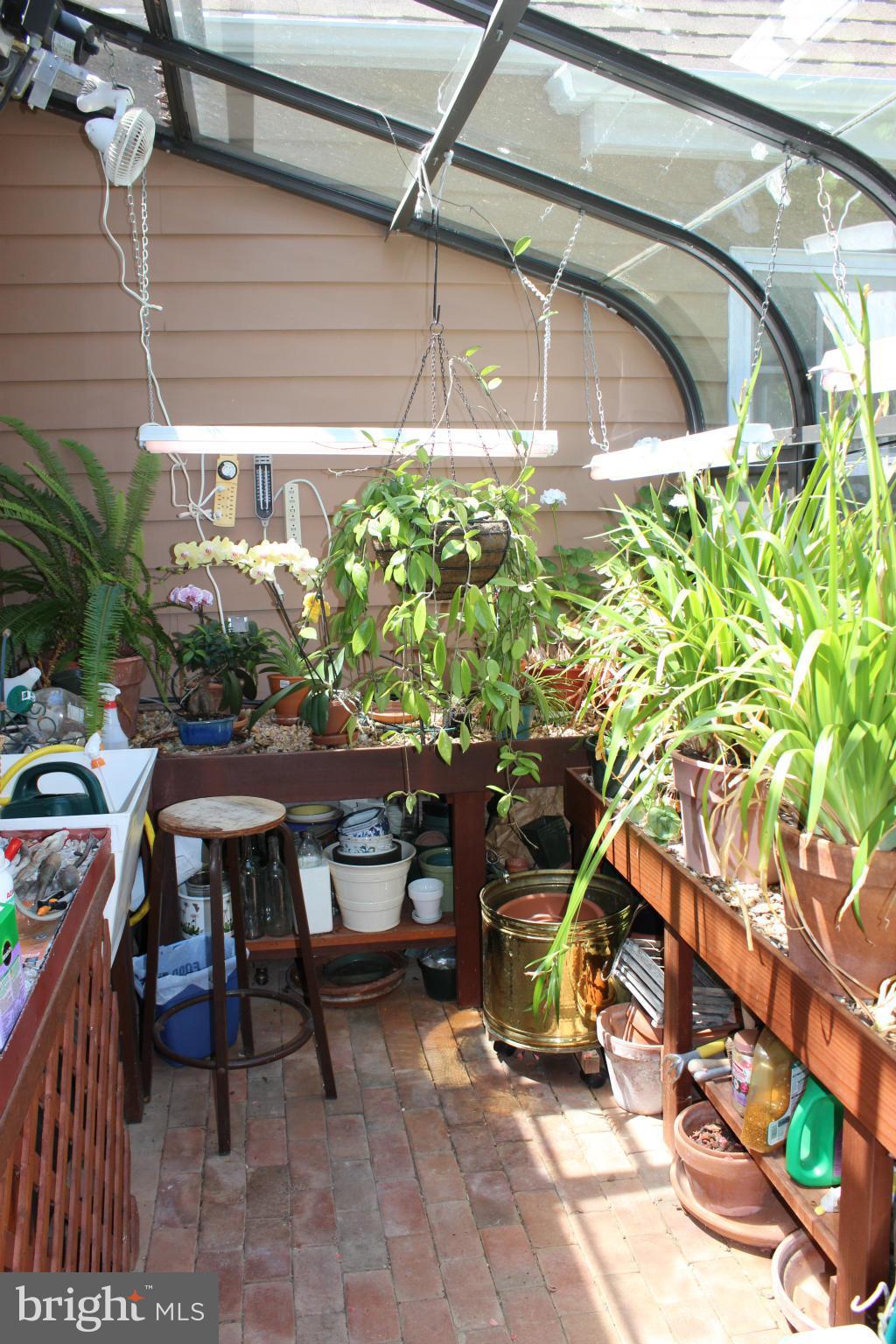 5715 Bar Neck Road Cambridge, MD 21613 - Photo 22 of 30 Attached Greenhouse